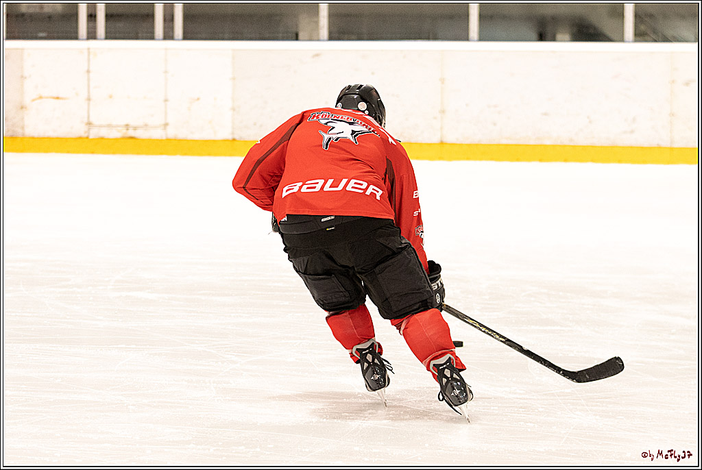 Sponsorentraining Kölner Haie 8.6.2022, 08.06.2022